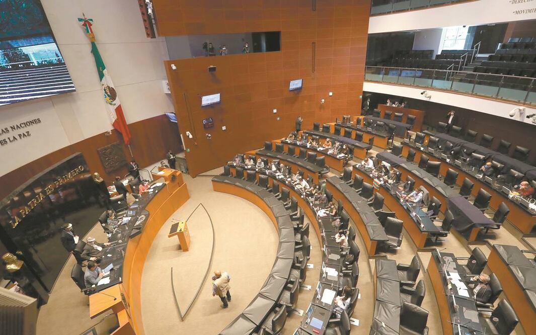 Sesión en el Senado. Foto: Archivo