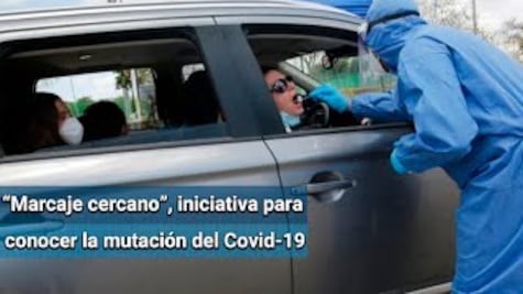Conocer la mutación del coronavirus ayudará a que modelos matemáticos sean más precisos