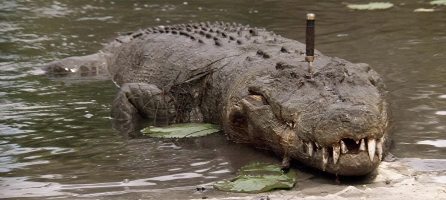 Burt, el cocodrilo de la cinta "Cocodrilo Dundee".
Foto: IMDb