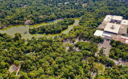 9 atractivos de Chapultepec para vacacionar en tu propia ciudad