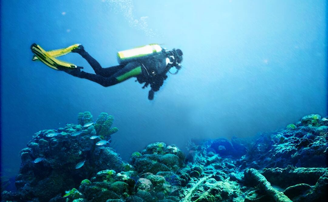 La oceanografía física, para detectar diferentes fenómenos naturales, requiere de modelos matemáticos. (FOTO: UNAM)