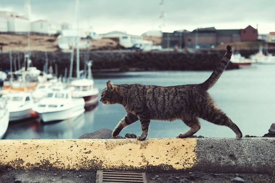Foto: Unsplash