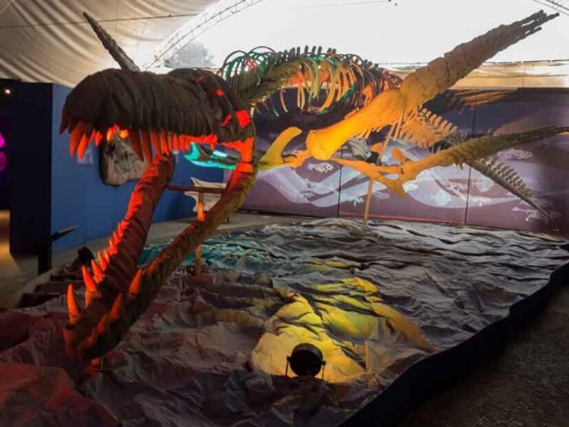 No te pierdas la expo de dinosaurios en el Parque Bicentenario