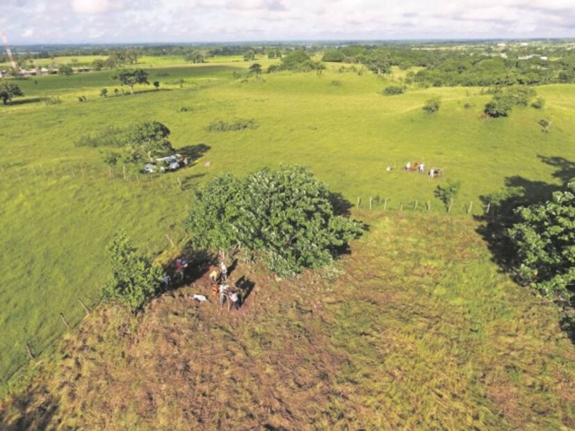 ¿Culturas sin pirámides? Así es el hallazgo de un arqueólogo japonés en México