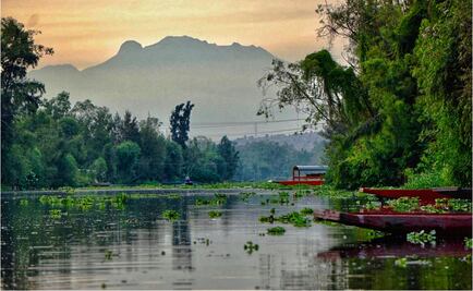 Chefs team up to save chinampas
