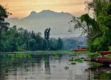 Chefs team up to save chinampas