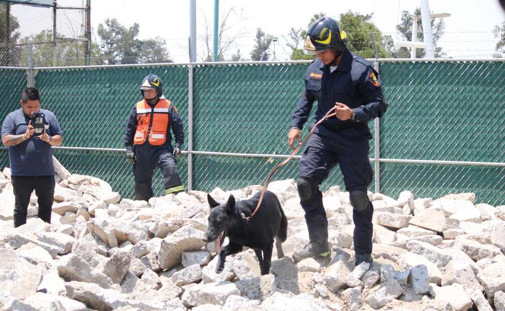 Bomberos de la CDMX presenta a su nuevo y adorable recluta (01/04/2025). Foto: Darío Luna / El Universal