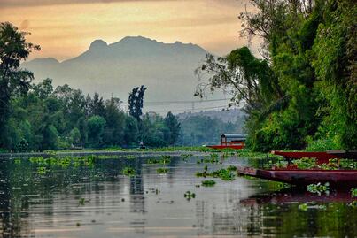 Tamales, tecolotes y una isla de espanto: paseo en Xochimilco para ver el amanecer