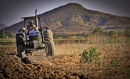 Impulsan en San Lázaro que el Presidente establezca estrategias para mitigar efectos de la sequía en el campo