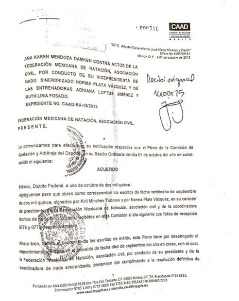 Once desacatos a la autoridad de Federación Mexicana de Natación