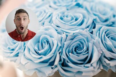 ¿Por qué el 3 de octubre se regalan flores azules a los hombres y cuál es su significado?