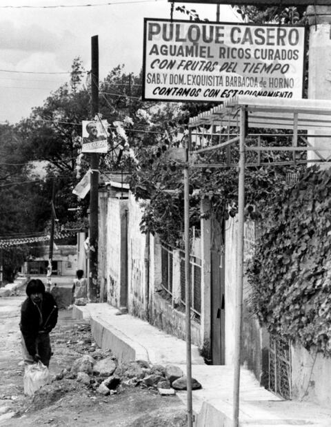 El arte chilango de curar pulques 