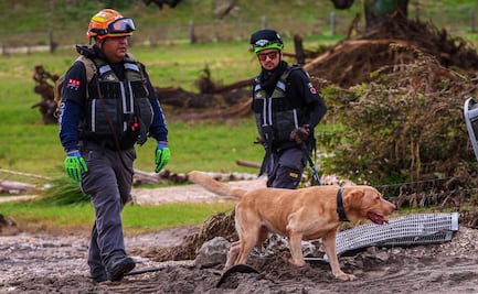Inician rescatistas y binomios caninos de Nuevo León labores de búsqueda en Texas; están distribuidos en diferentes puntos del Río Guadalupe