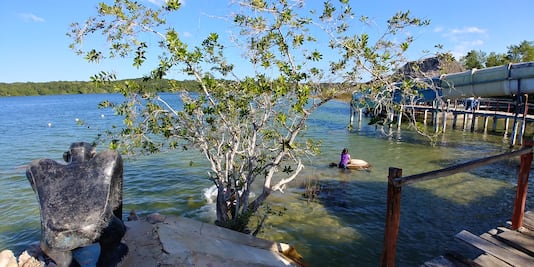 Juez deja sin efecto decreto de área protegida en ejido de Quintana Roo