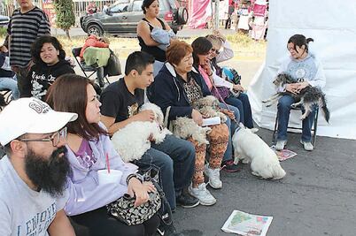 Iztacalco inicia jornadas gratuitas para mascotas; habrá esterilización y vacunación antirrábica