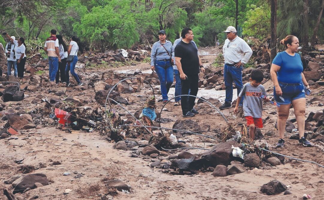 Trabajadores del ayuntamiento comenzaron con la limpieza, retiro de escombros y árboles de las calles de San Ignacio. Foto Especial