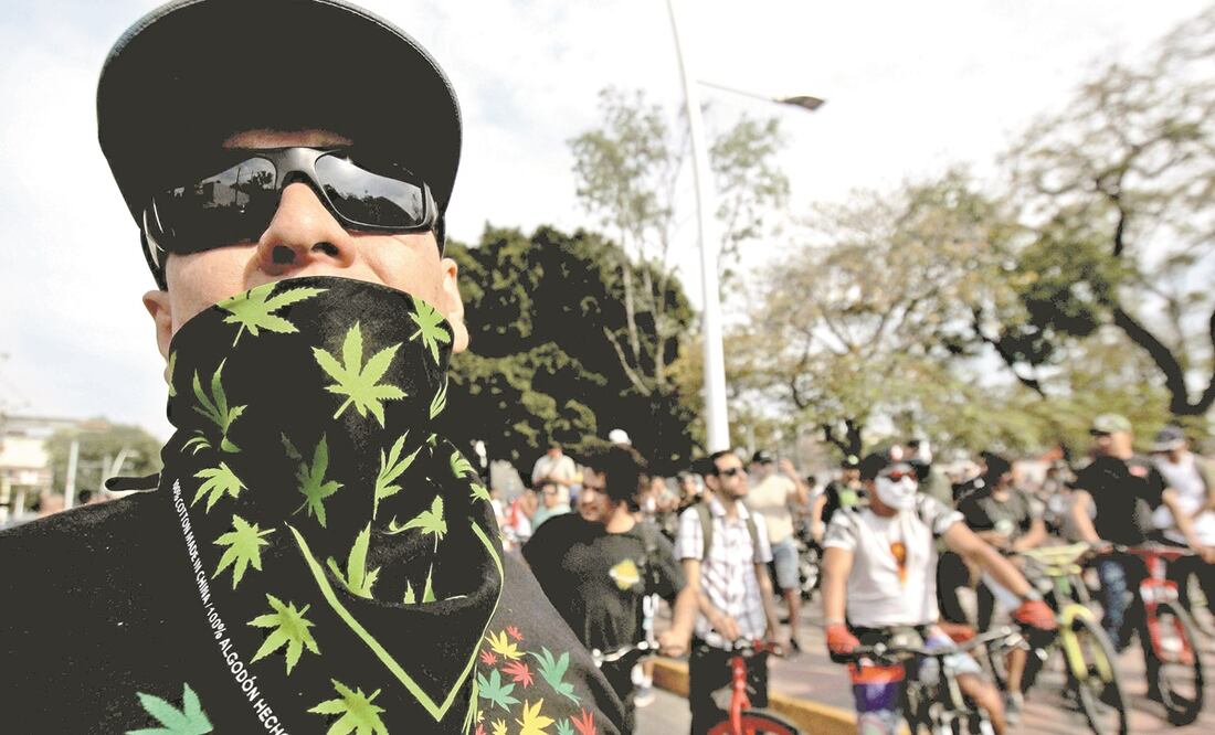 Según reporte, la principal droga por la que la gente busca tratamiento en México es la marihuana. Foto: ARCHIVO AFP