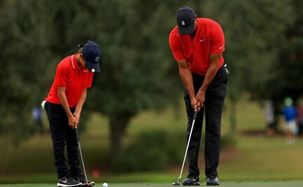 Los Woods, hijo de Tigre...