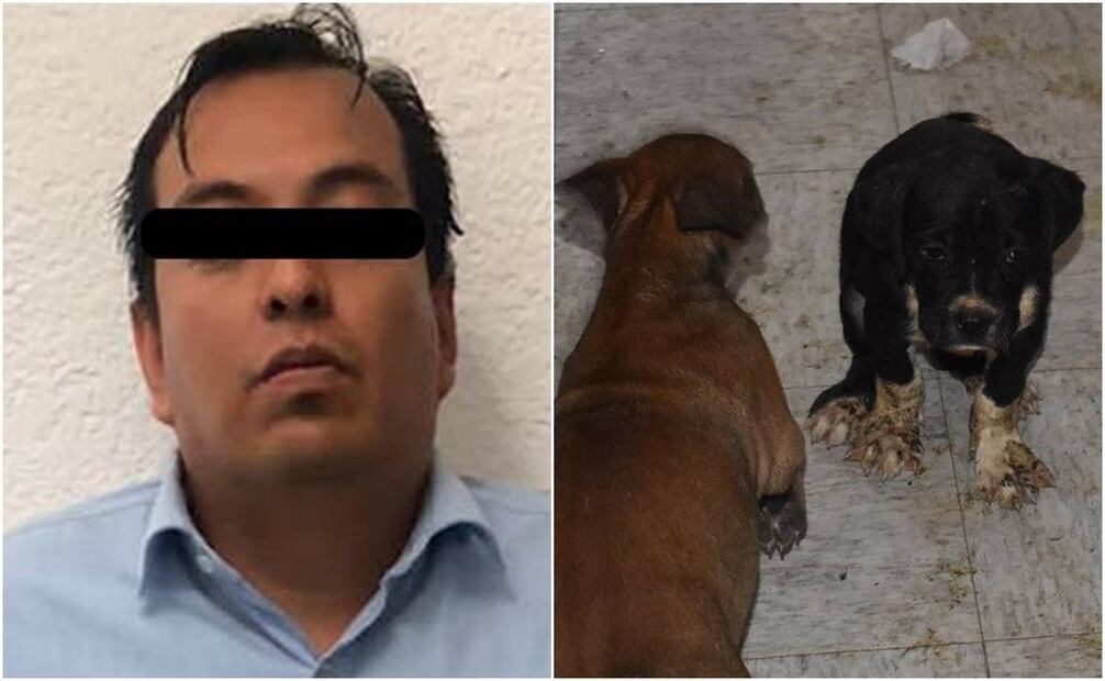 Jesús es investigado por maltrato animal. Foto: Especial