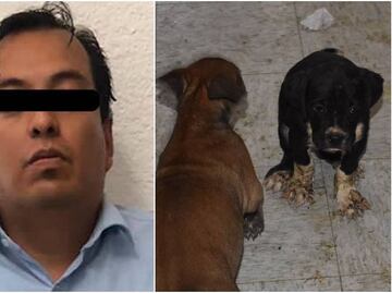 Investigan por maltrato animal a padre que agredió a maestra de kínder en Cuautitlán Izcalli
