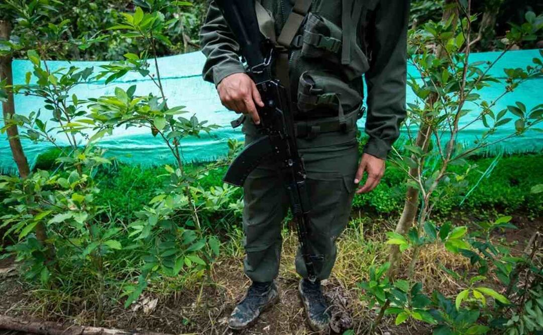Un integrante de la Guardia Nacional venezolana vigila en uno de los tres laboratorios de producción de cocaína desmantelados en una fotografía de archivo. Foto: EFE