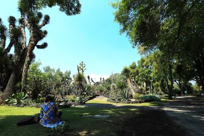 Cómo visitar el asombroso Jardín Botánico de la UNAM en la CDMX