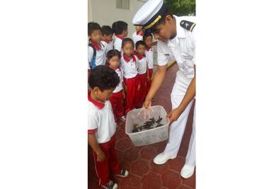 Liberan 32 ejemplares de "tortuga golfina" en Salina Cruz, Oaxaca