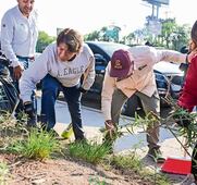 Limpian Periférico Norte, previo a inauguración
