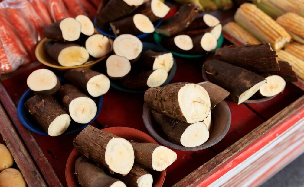 La tapioca es un almidón extraído de la raíz de la yuca. Foto: Pexels.