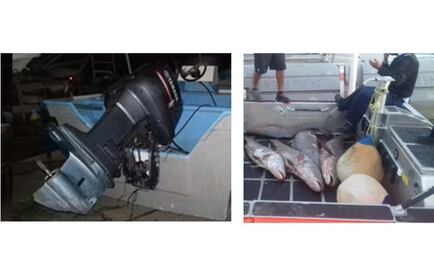 Aseguran embarcación para caza ilegal de totoaba