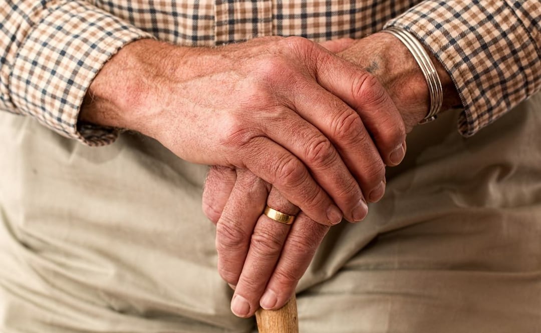 Las personas mayores de 60 años tienen mayor disposición para mostrar signos y síntomas de la enfermedad de Parkinson. / Foto: Pixabay.