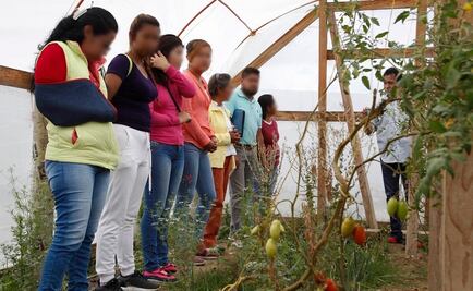 Llegan apoyos de pintor Francisco Toledo a reclusorios de Oaxaca