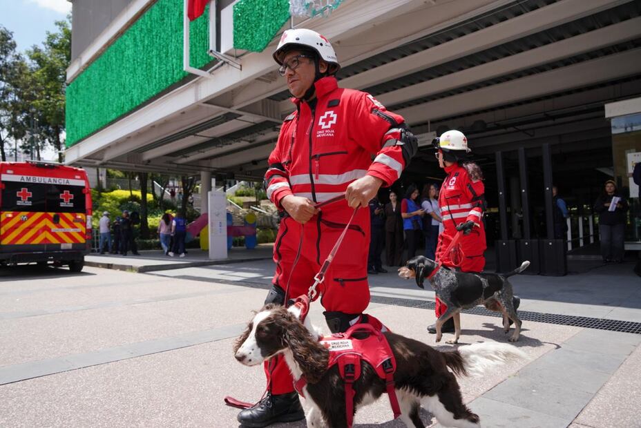Brigadas de voluntarios participaron en coordinación con Protección Civil, el H. Cuerpo de Bomberos de la Ciudad de México y la Cruz Roja Mexicana y sus binomios caninos. (Foto: especial)