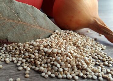 Por qué es bueno comer quinoa durante la cuarentena