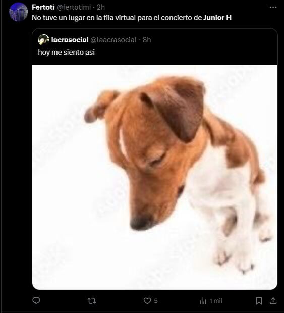 Los fanáticos del cantautor mexicano, esperaron hasta por 4 horas en la fila virtual. Foto: Redes Sociales
