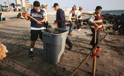 Limpian 34 playas afectadas por manchas de hidrocarburo en Veracruz; participan 235 elementos de la Marina