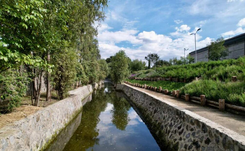 Sedema presenta el Programa de Manejo del Bosque Urbano Canal Nacional; impulsa su conservación y recuperación. Foto: Laura Arana / EL UNIVERSAL