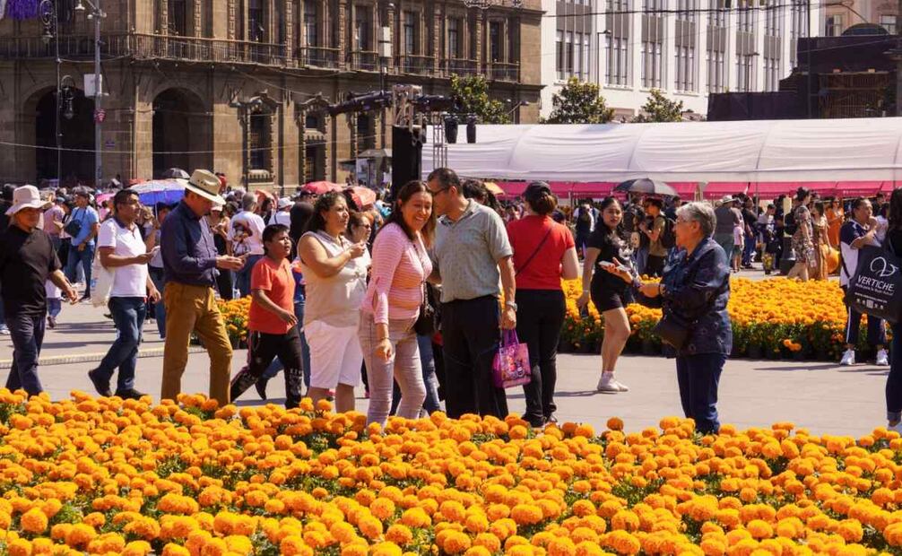Cempasúchil adora la Mega Ofrenda de Día de Muertos en el Zócalo (26/10/2025). Foto: Osmar Alvarado / EL UNIVERSAL