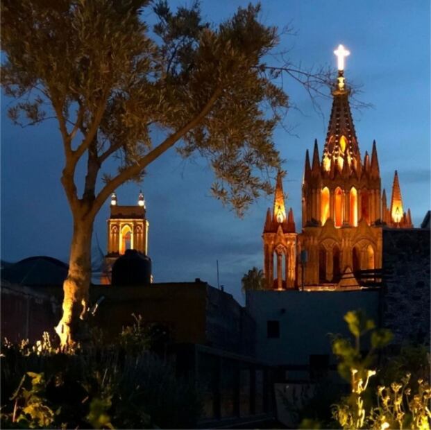 Explora la mixología en San Miguel de Allende