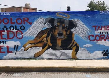 VIDEO: Con mural recuerdan a Scooby, perrito lanzado a cazo hirviendo en Tecámac
