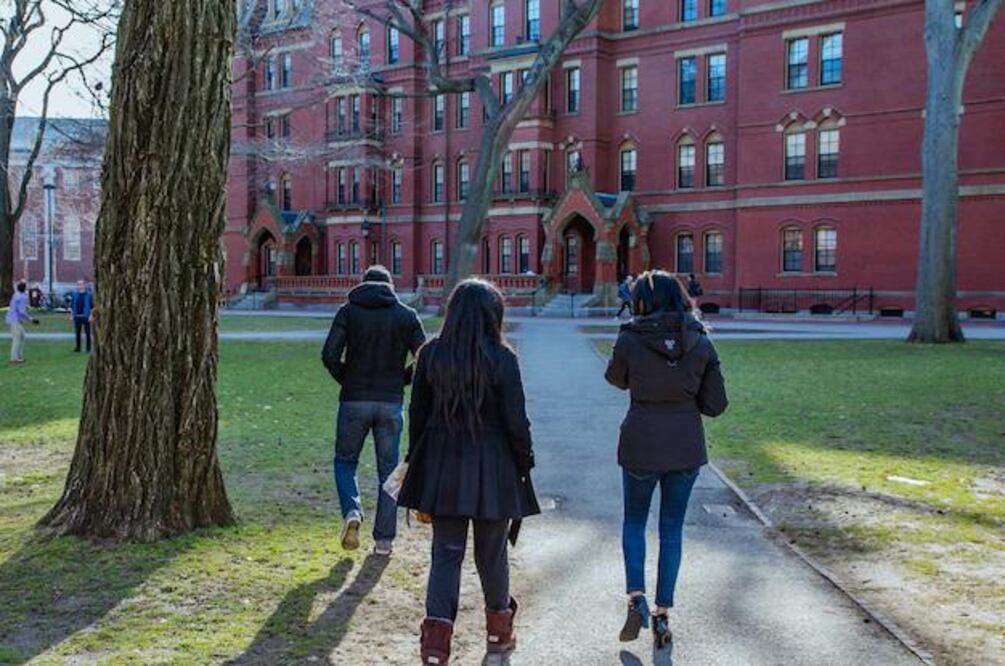 Universidades de Japón aceptan a estudiantes matriculados en Harvard. Fuente: Freepik.