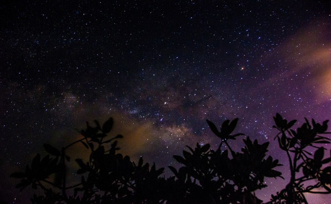 Photo: Elizabeth Ruiz/Cuartooscuro.com