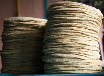 Crean tortillas de cebada para combatir la obesidad