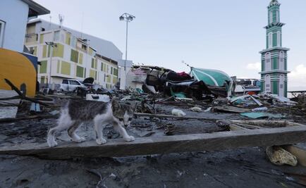 Sube a mil 200 la cifra de muertos tras sismo y tsunami en Indonesia