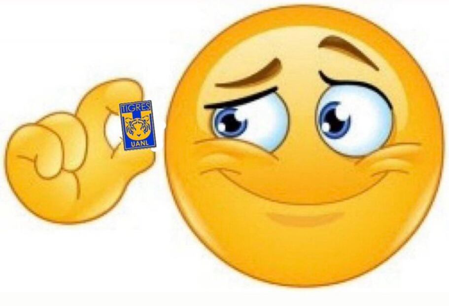 MEMES TIGRES