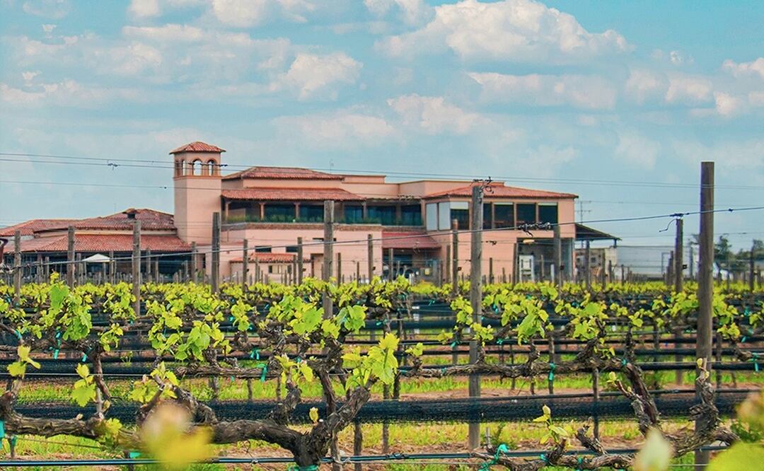 El Cielo, un viñedo en Valle de Guadalupe. Foto: cortesía