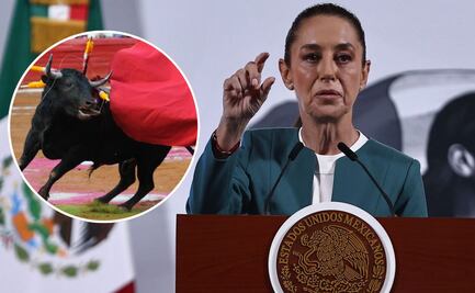 Sheinbaum reitera respaldo a Clara Brugada por proponer corridas de toros sin violencia; “es un avance muy importante”, dice