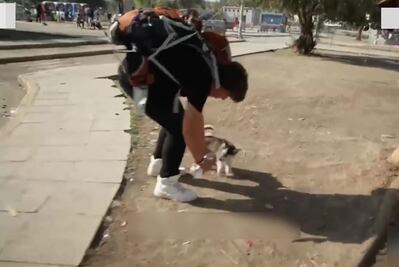 Refugiado sirio no puede abandonar a su perro