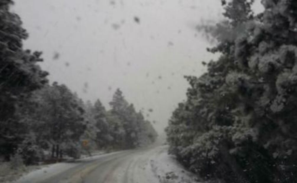 Sierra de Chihuahua registra las primeras nevadas