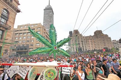 Se atora propuesta ciudadana para regular marihuana